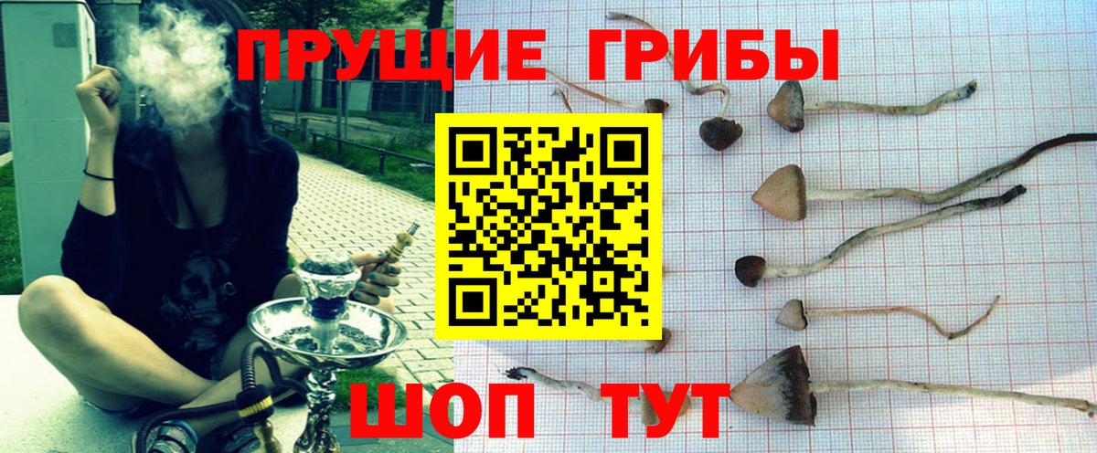 Жигулёвск  Псилоцибиновые грибы мицелий  Вход с VPN 