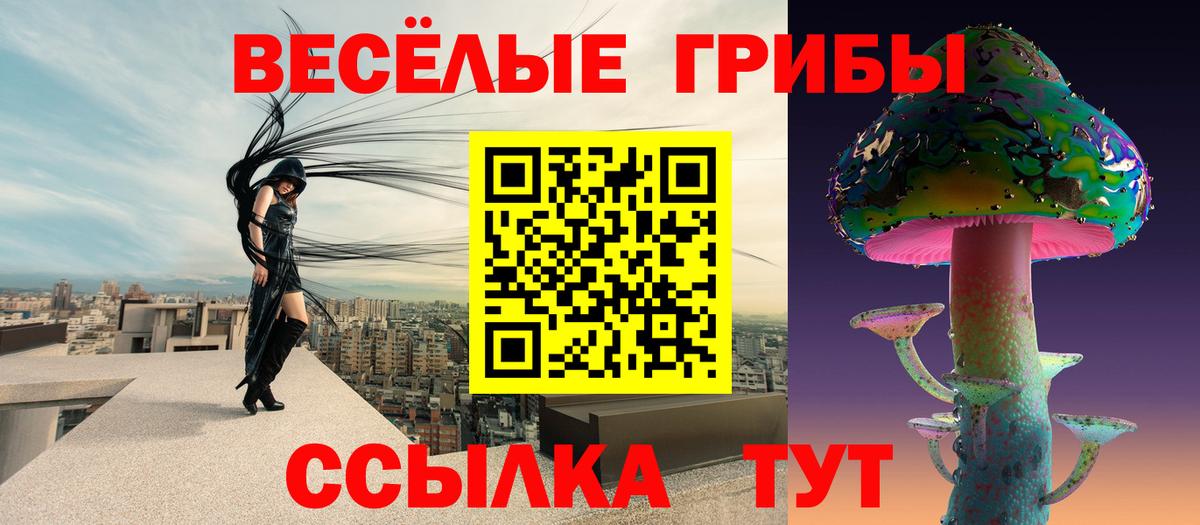 Галлюциногенные грибы GOLDEN TEACHER Жигулёвск